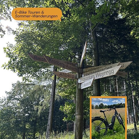 Sommerurlaub zu zweit im Salzkammergut – Vorfreude pur! ️ Während sich hinter den Kulissen bei unserem großen Umbau im Hotel Winzer aktuell alles dreht und wir fleißig an neuen Wohlfühlmomenten für...